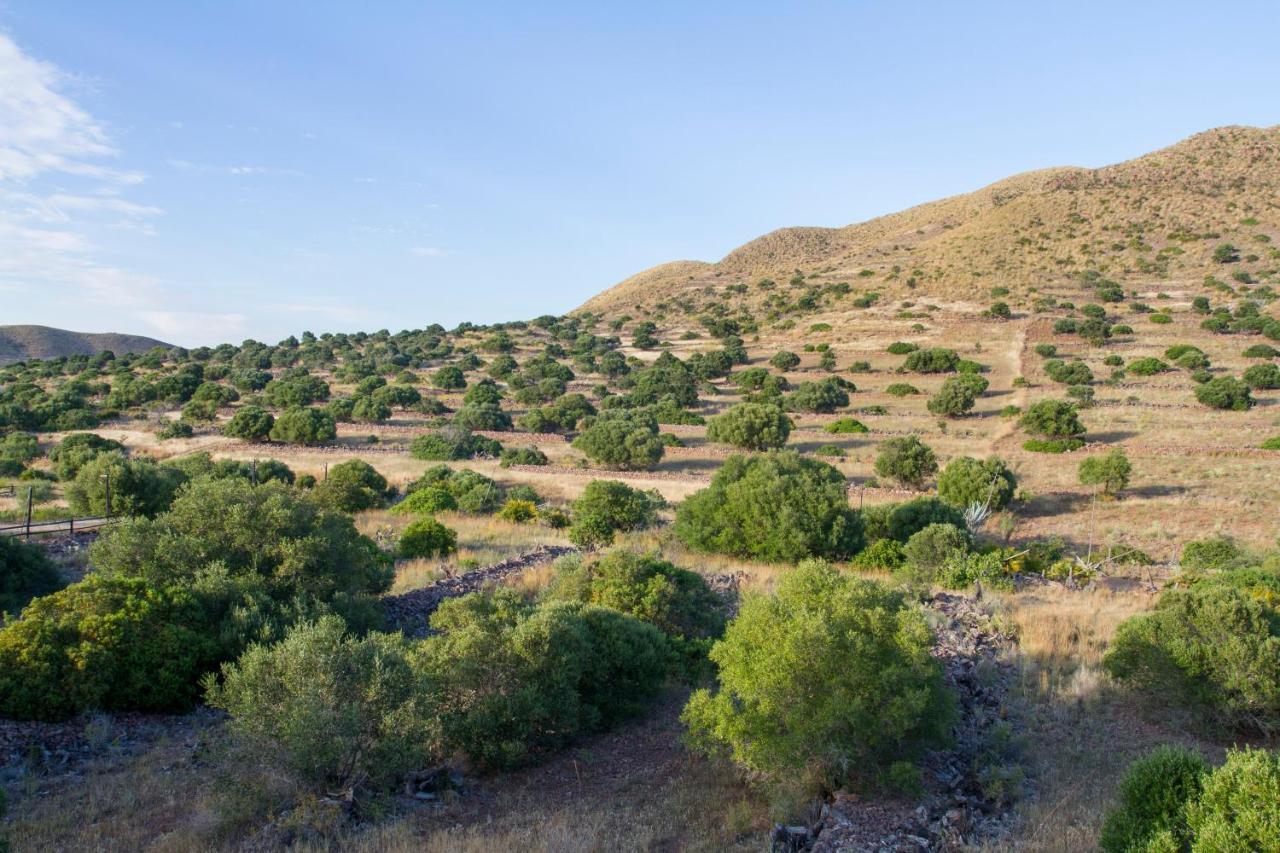 Casas Rurales La Minilla Los Albaricoques Eksteriør billede